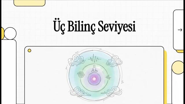 Üç Bilinç Seviyesi/Bülent Oktay-Hakikatür